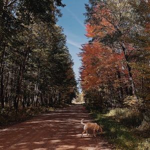 Meet your Posher, Roxana